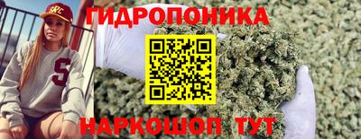 скорость Гусь-Хрустальный