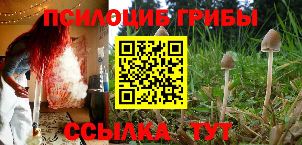 Качканар  Псилоцибиновые грибы ЛСД  Вход с VPN  наркошоп  Псилоцибиновые грибы мицелий 