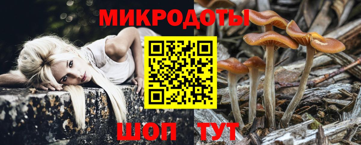 Псилоцибиновые грибы Magic Shrooms Качканар